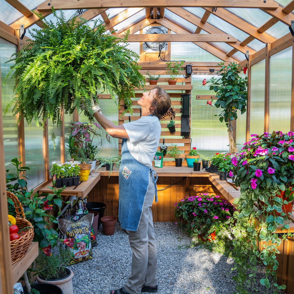 Bellerose Greenhouse — 3.7m x 2.3m product photo 14