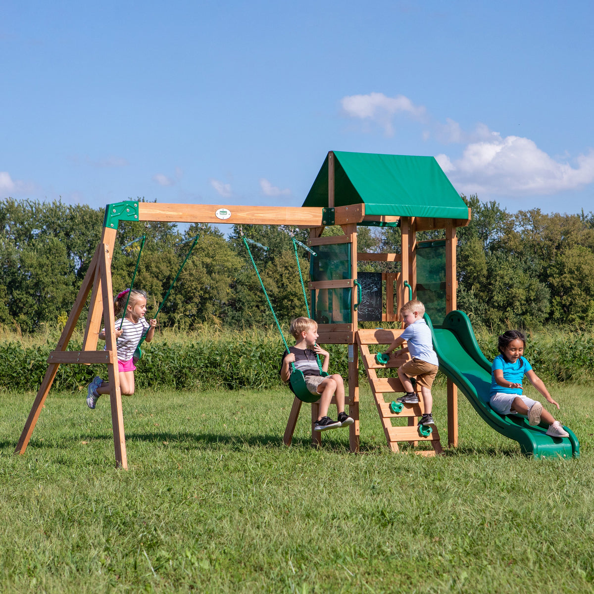 Buckley Hill Swing Set product photo