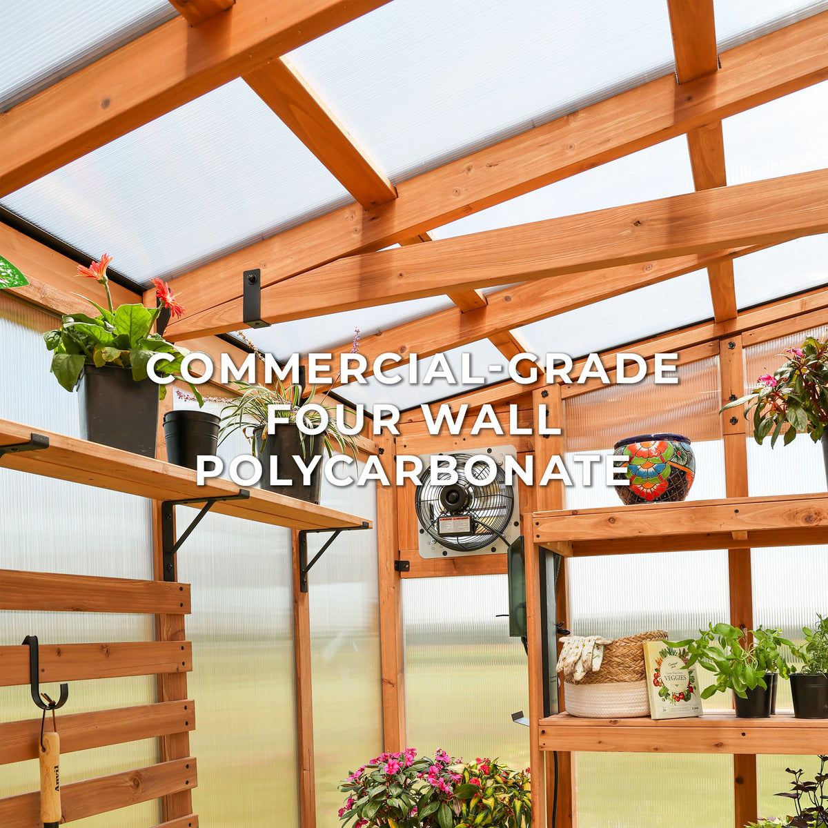 Poppy Greenhouse — 3.3m x 2.2m product photo 4