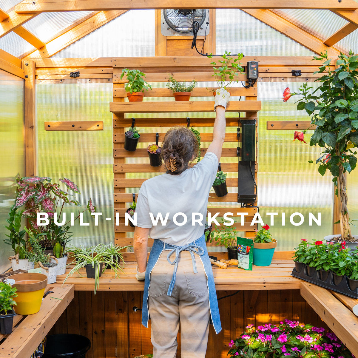 Bellerose Greenhouse — 3.7m x 2.3m product photo 7