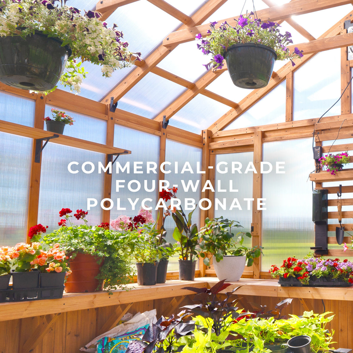 Bellerose XL Greenhouse — 3.9m x 3.5m product photo 4